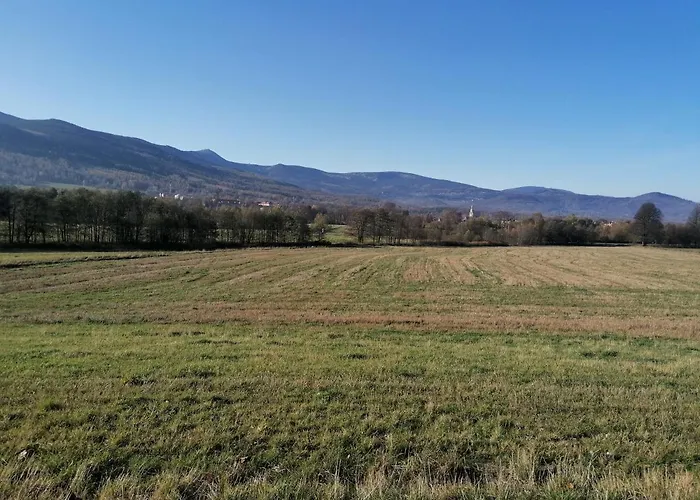 - Na Kowarskiej Starowce Ii